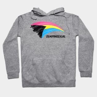 Pansexual And Demisexual Flag Demipansexual Hoodie